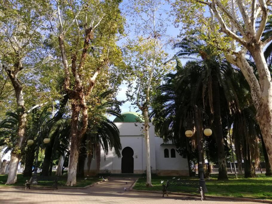 Trotamundos, Apartamento Nuevo En El Centro Cordoba Exterior photo